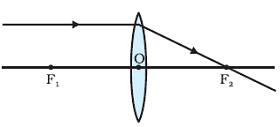  Refraction of one Ray coming parallel to principal axis to convex lens