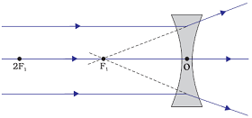  Refraction of many Rays coming parallel to principal axis to concave lens