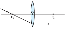 Refraction of Ray of light passing through the principal focus from a convex lens