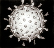 Rotavirus Reconstruction