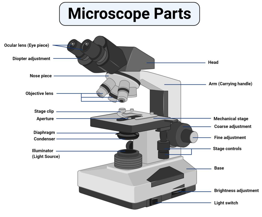 Electron-Microscope-Ki-Khoj