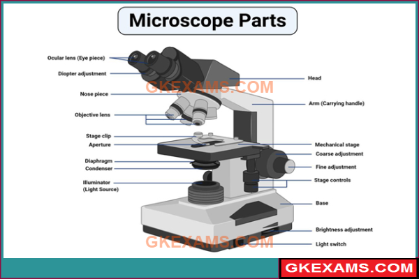 Yogik-Microscope